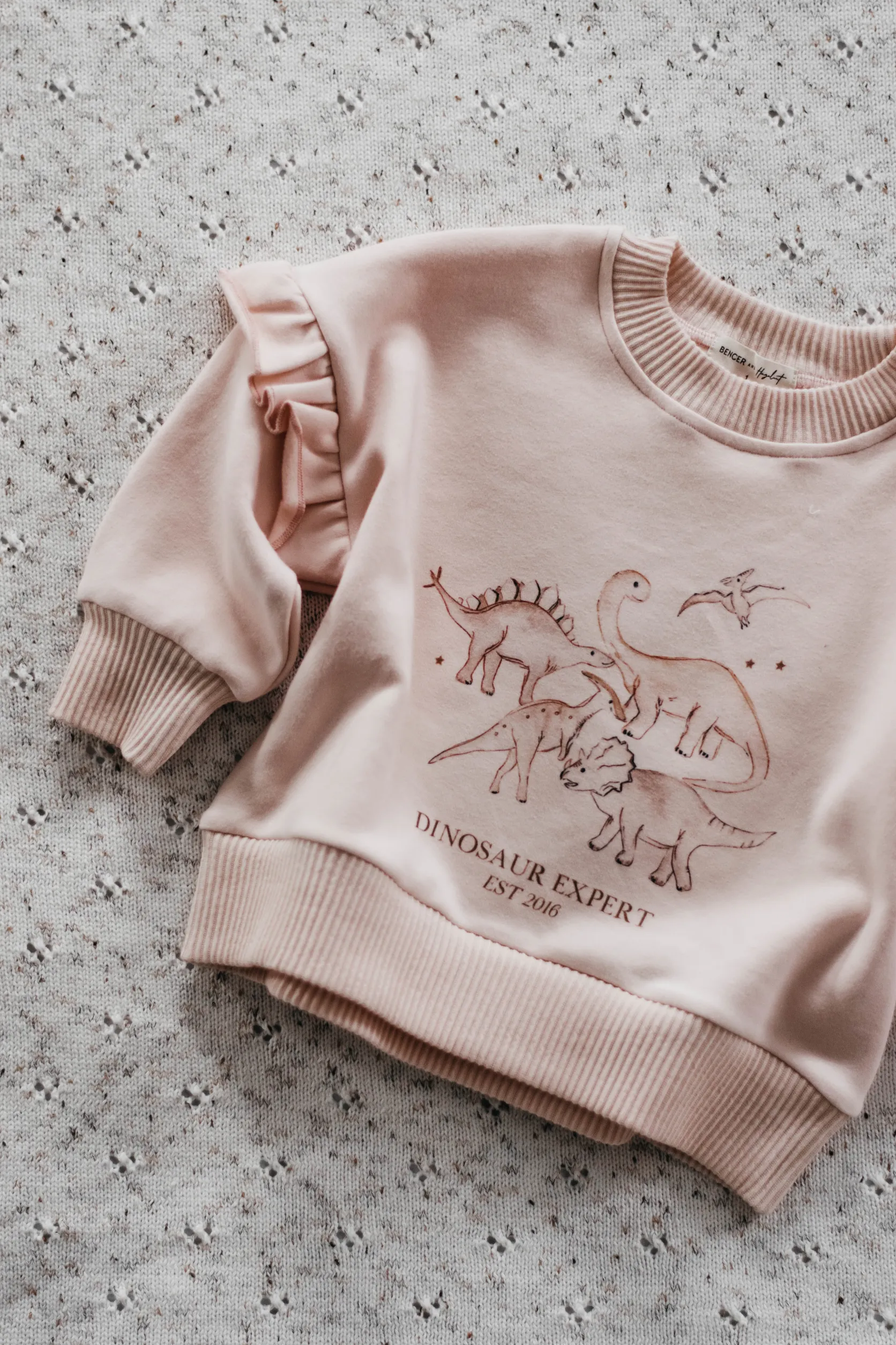 Dinosaur Expert Jumper | Pink