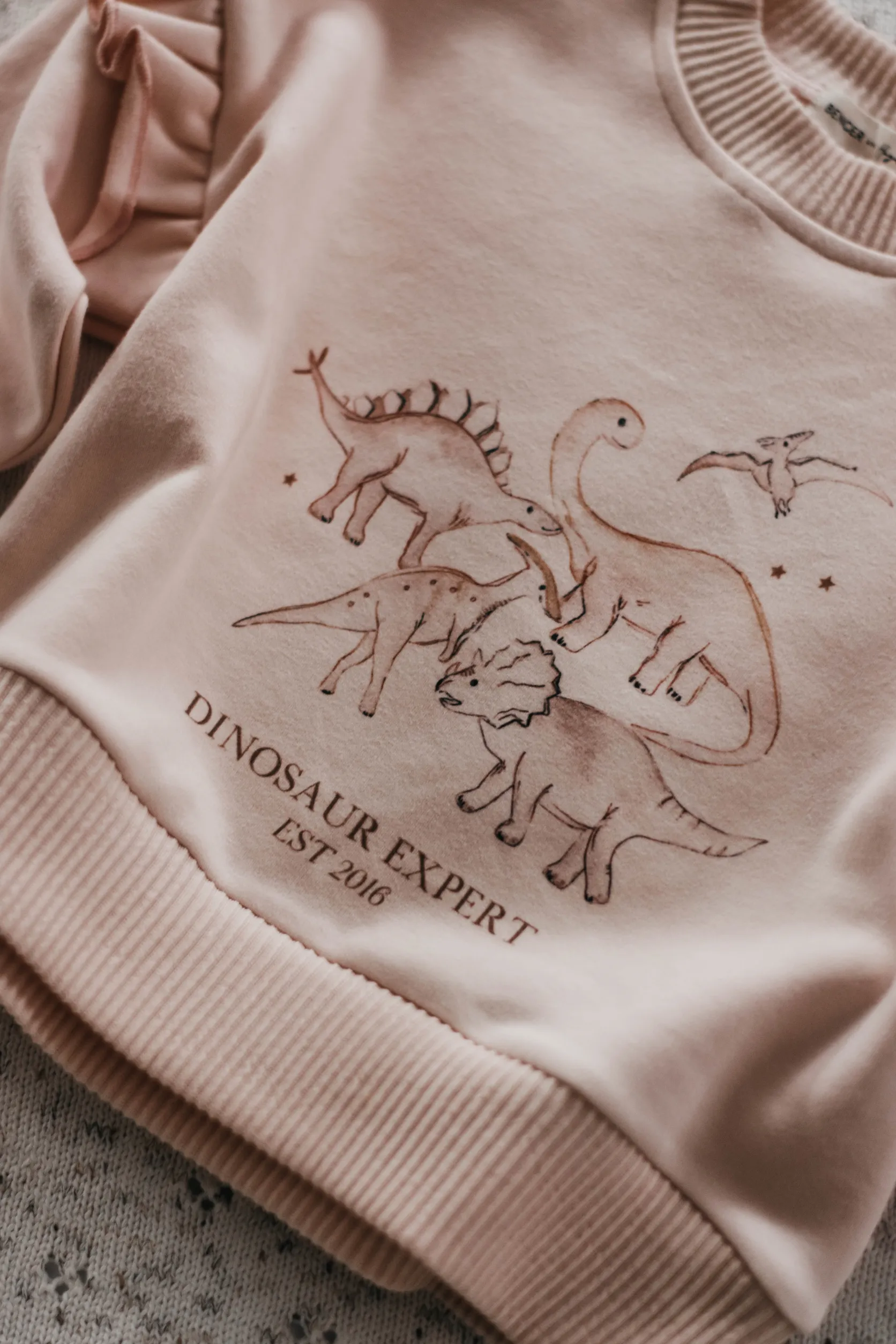 Dinosaur Expert Jumper | Pink