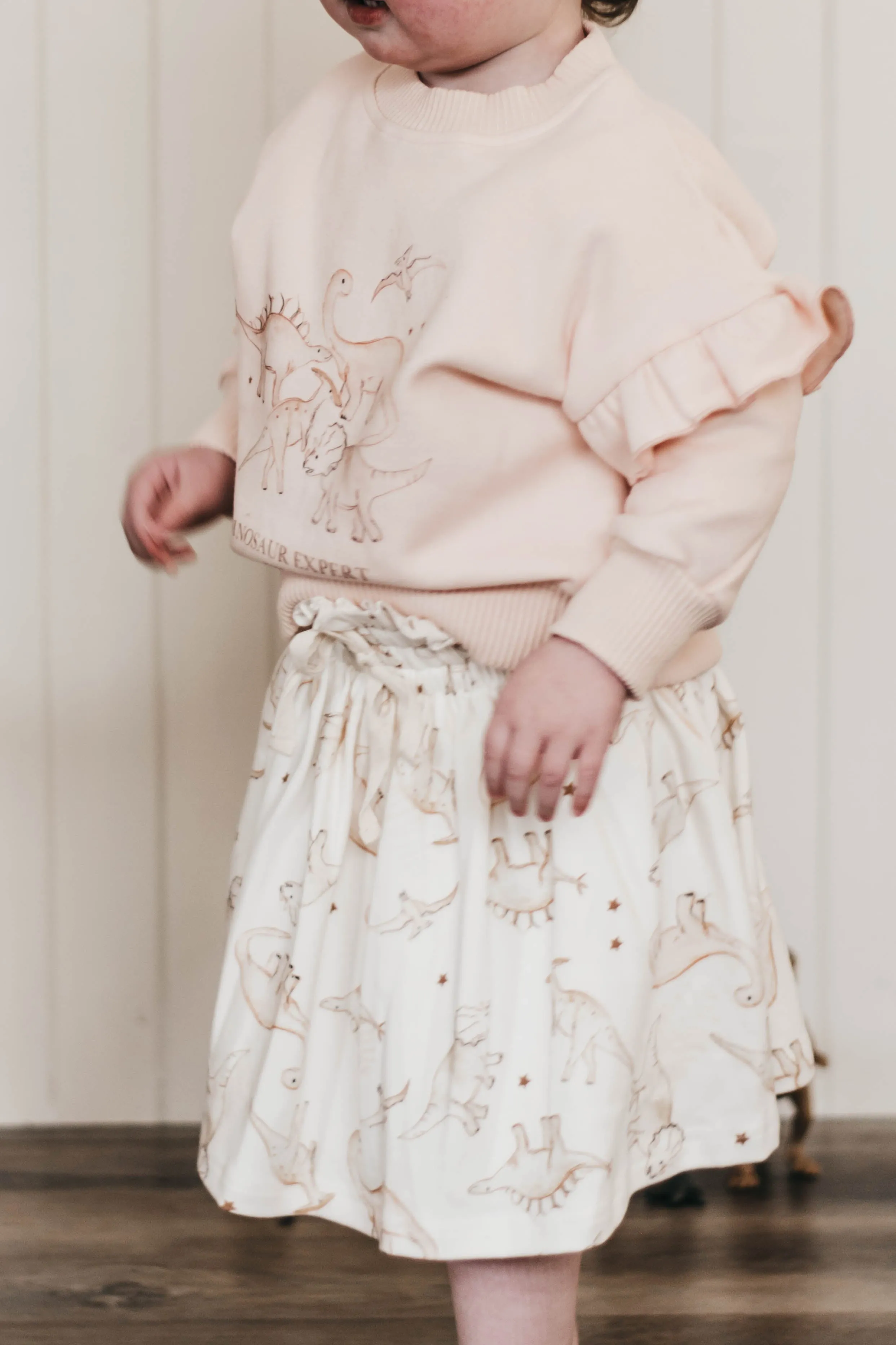 Dinosaur Expert Jumper | Pink