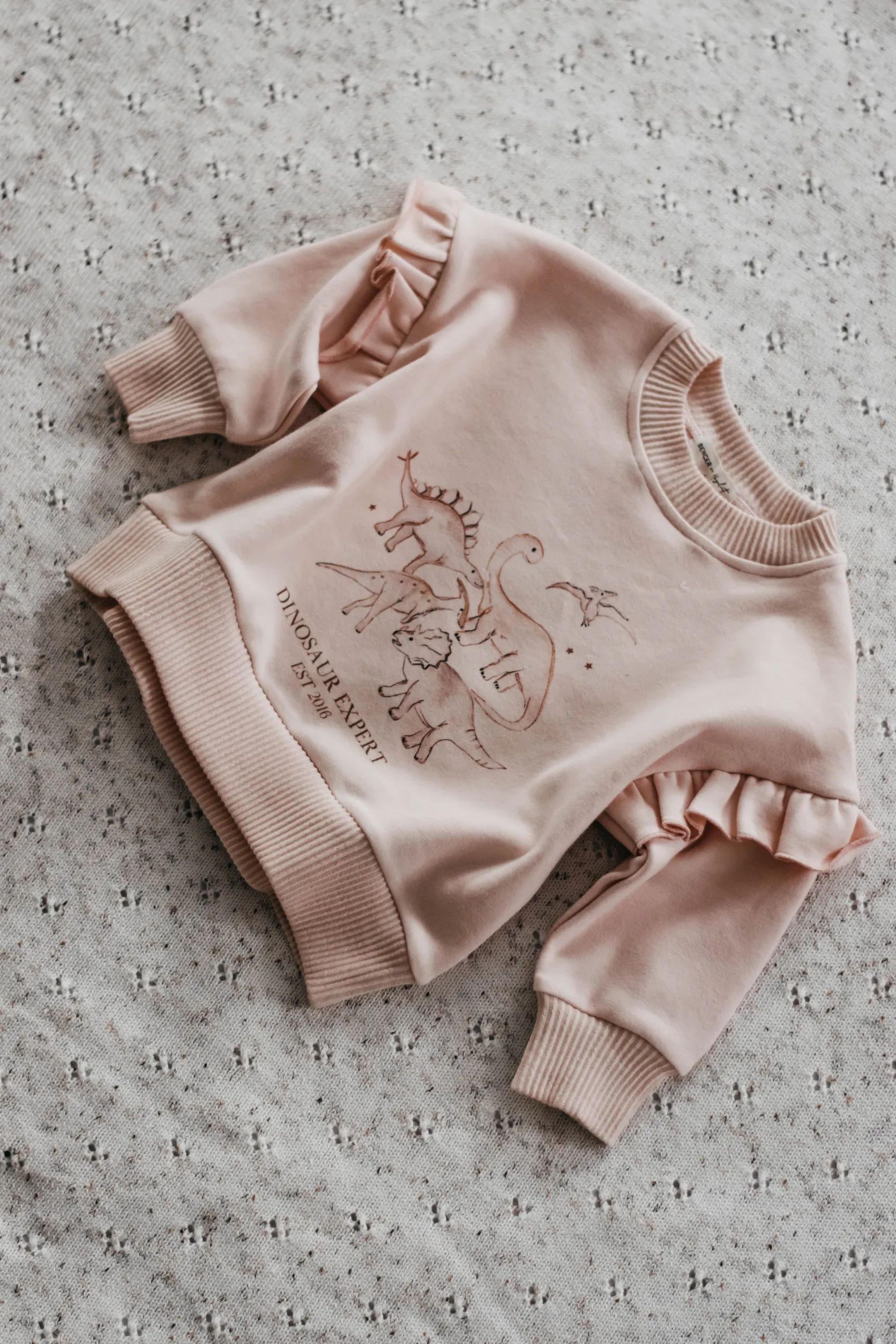 Dinosaur Expert Jumper | Pink