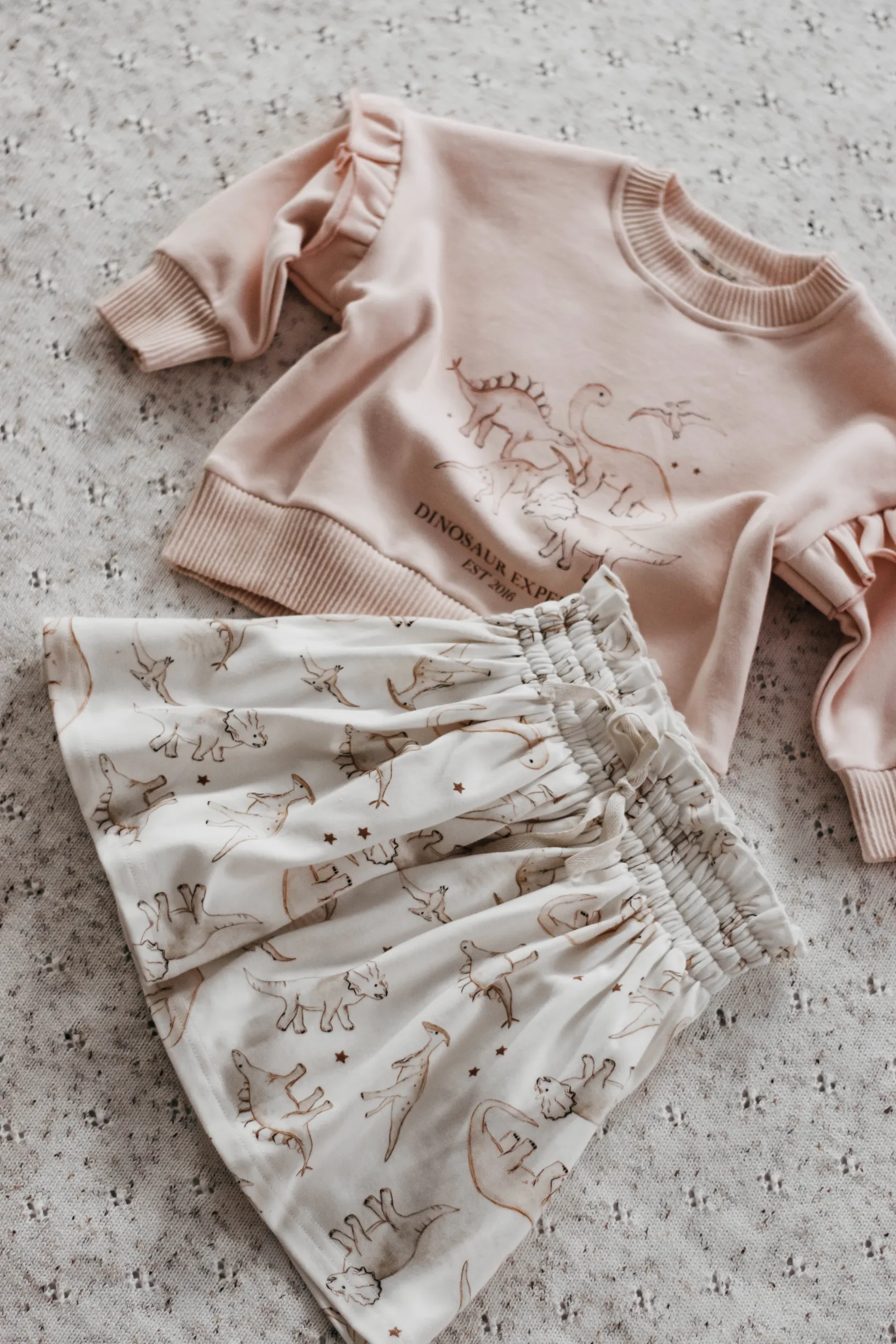 Dinosaur Expert Jumper | Pink