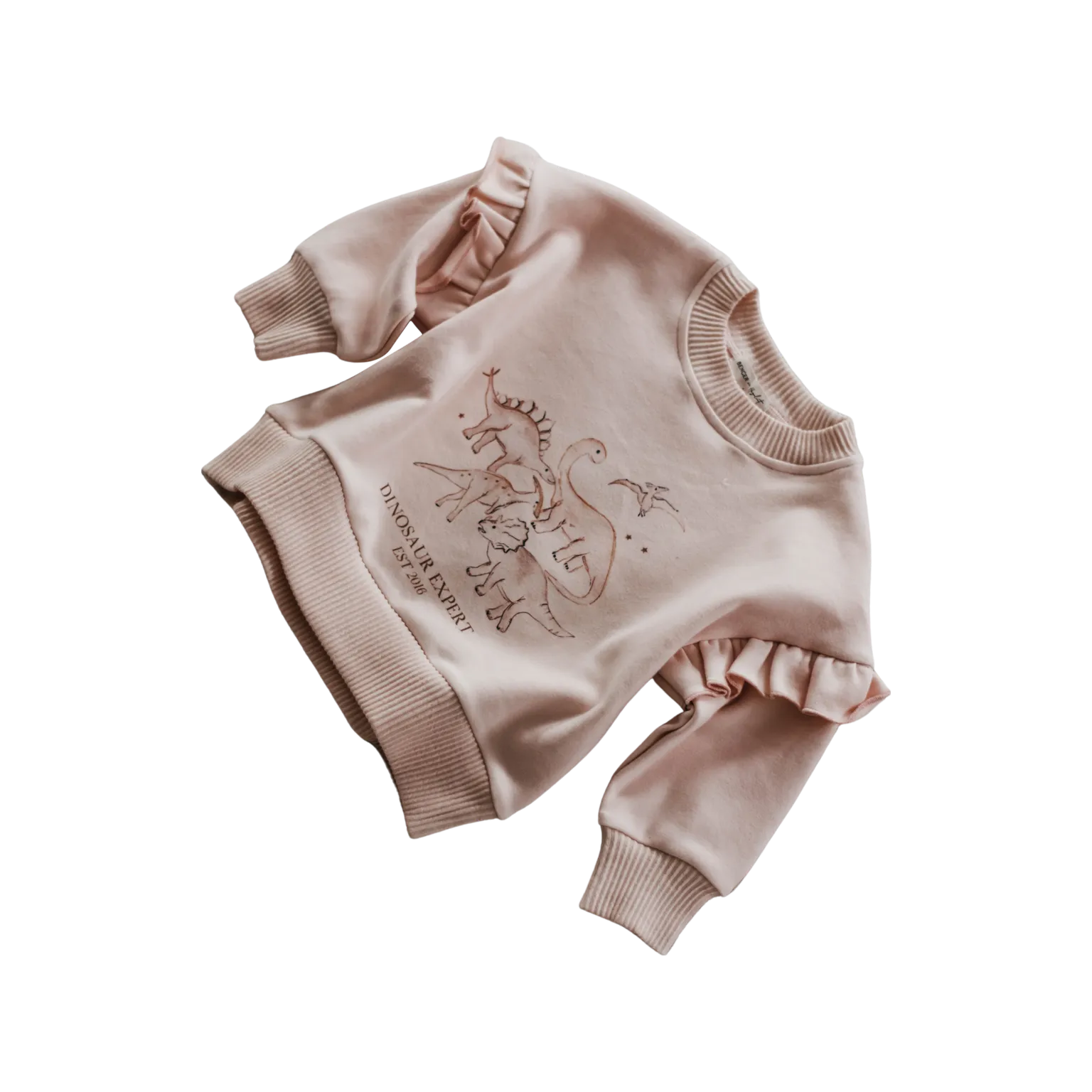 Dinosaur Expert Jumper | Pink